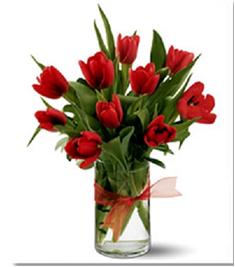 10 tulipanes rojos en cilindro
