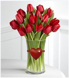 15 tulipanes rojos