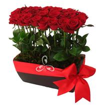 24 rosas rojas