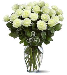 50 rosas blancas.