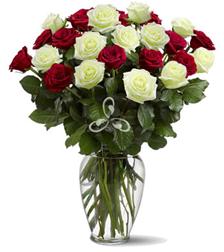 50 rosas rojas y blancas.