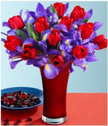 10 tulipanes rojos y acompañado de iris 